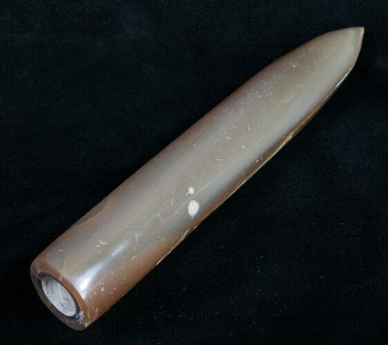 Large Agatized Belemnite Fossil - Polished #10593